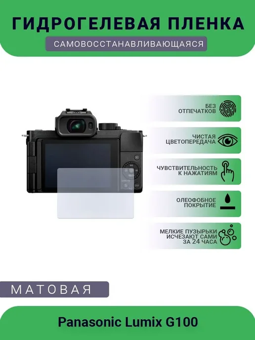 Panasonic Lumix G100