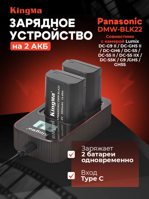 Panasonic DMWBLK22 2