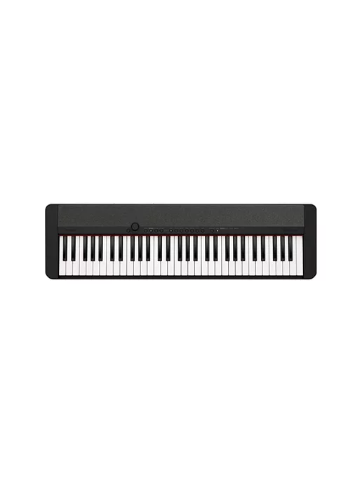 Ремонт пианино CASIO