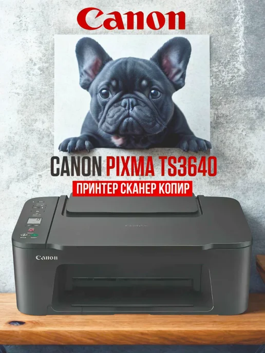wifi Pixma TS3640
