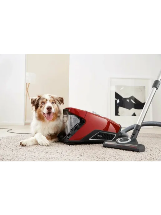 MIele Blizzard CX1 Cat & Dog PowerLine SKCF5