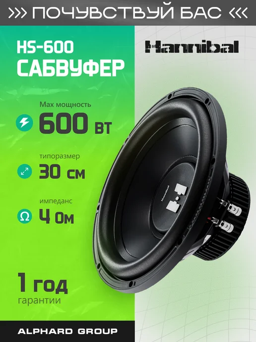 Ремонт сабвуфера ALPHARD