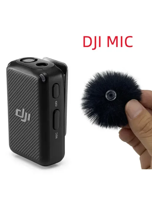 Mic