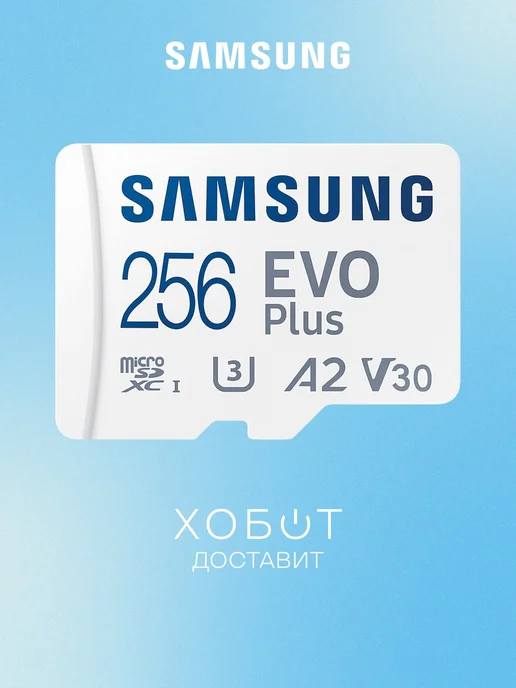 EVO Plus microSDXC 256GB
