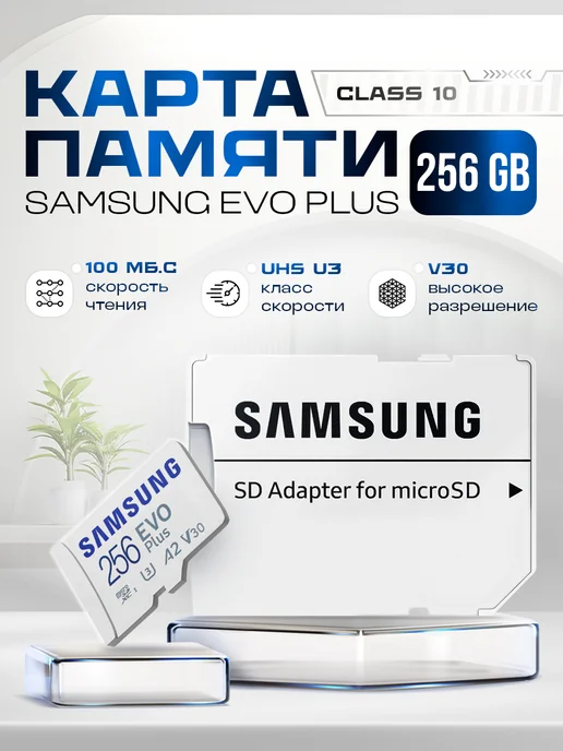 Micro SD EVO Plus 256 class 10