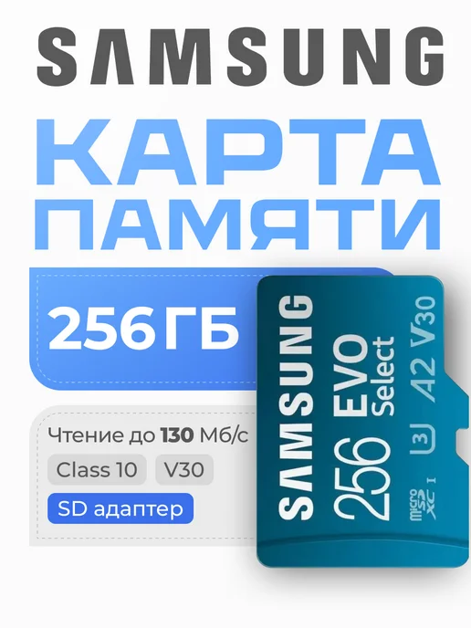 Micro SecureDigital 256Gb SDXC Evo Select