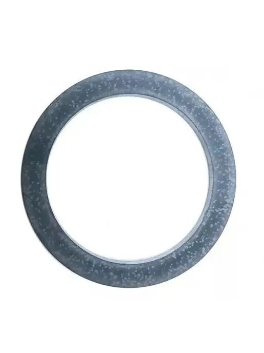 GG002601 Saeco  Indesit