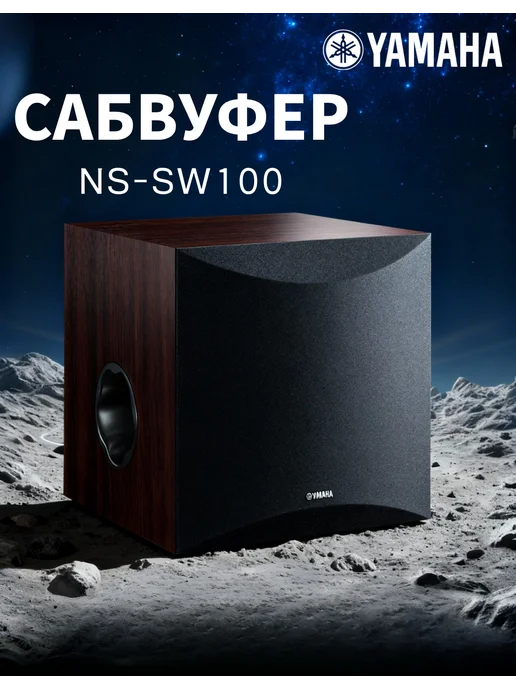 NS SW100