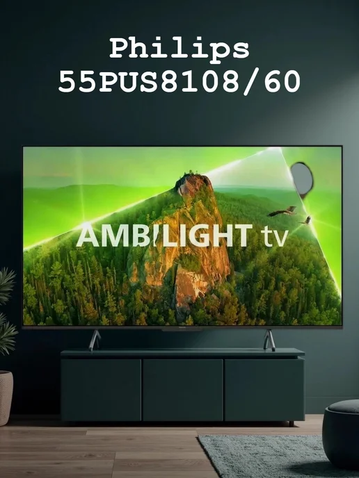 55PUS8108 60