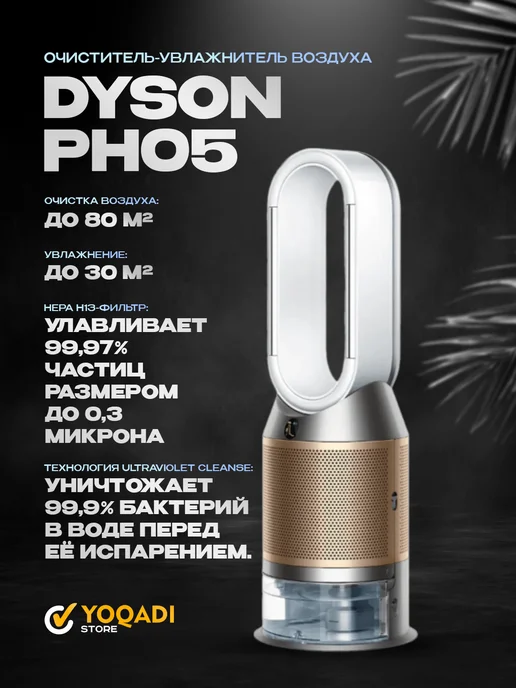 Dyson PH05 31