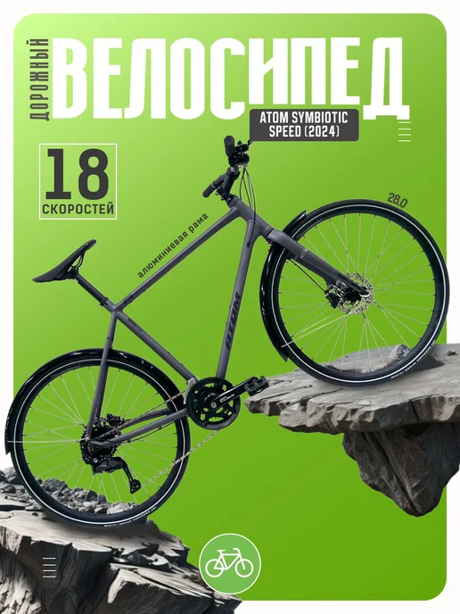 Symbiotic Speed  2024