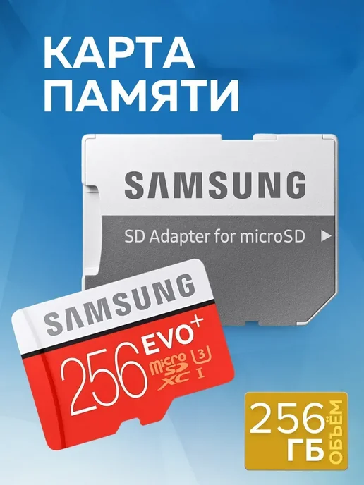 Micro SD 256 class 10