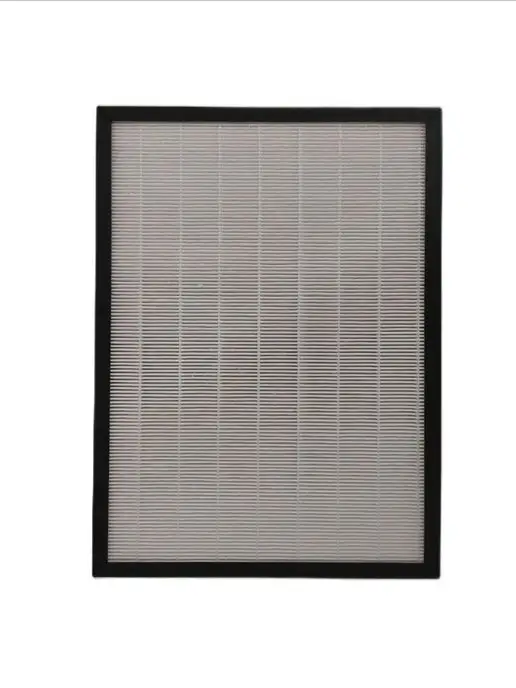 21 Hepa Bork AP ACN 1515 FP