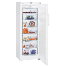 GNP 2756 Premium NoFrost